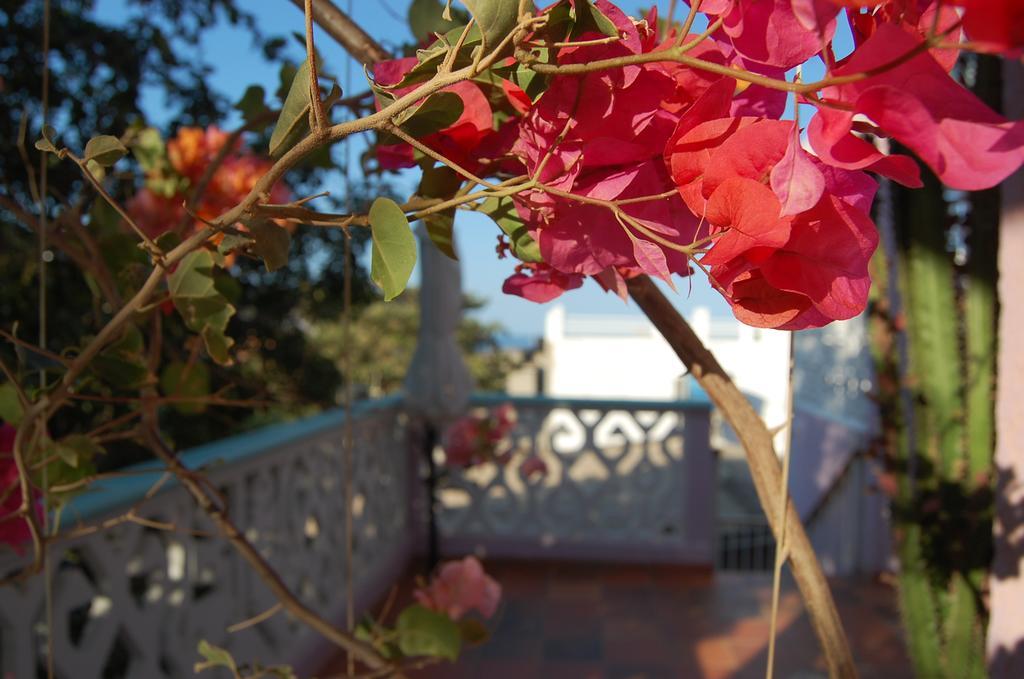 Casa Bella Mya Hotel Taganga Luaran gambar